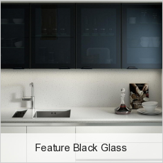 Feature Black Glass