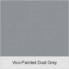 Vivo Painted