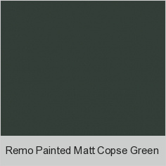 Remo Painted Matt