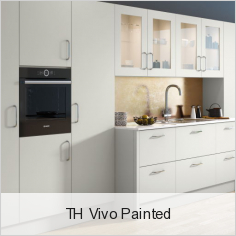 TH Vivo Painted