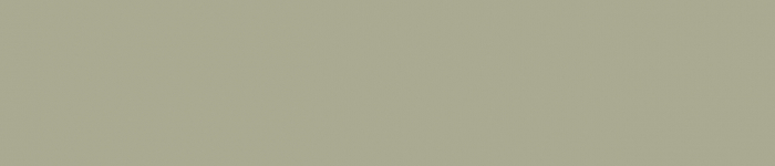 Georgia Painted