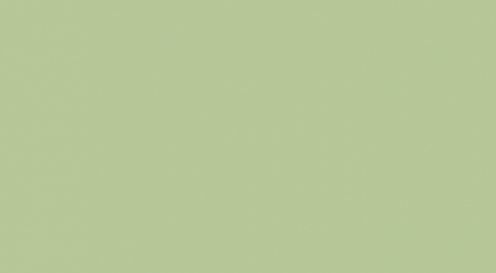 Eildon Ash Painted