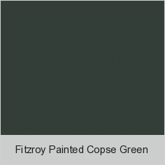 Fitzroy Painted