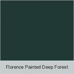 Florence Painted