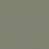 1909 Painted partridge-grey