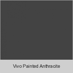 Vivo Painted