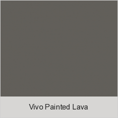 Vivo Painted