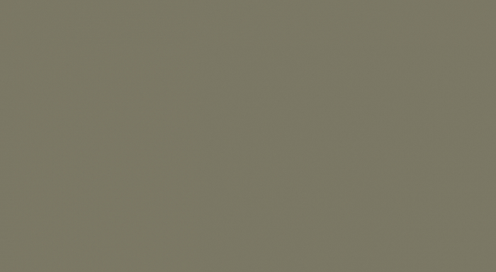 TH Zola Matte Painted