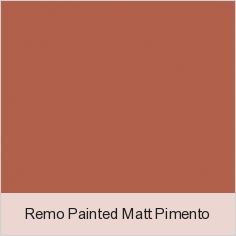 Remo Painted Matt