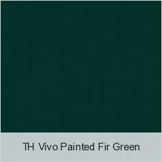 TH Vivo Painted