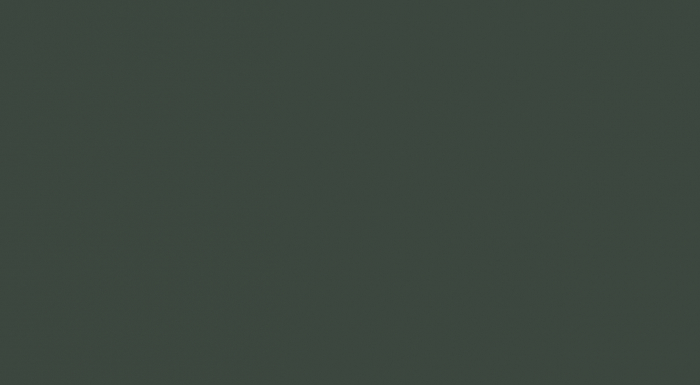 Georgia Painted