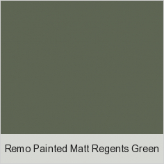 Remo Painted Matt