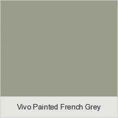 Vivo Painted