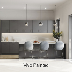 Vivo Painted