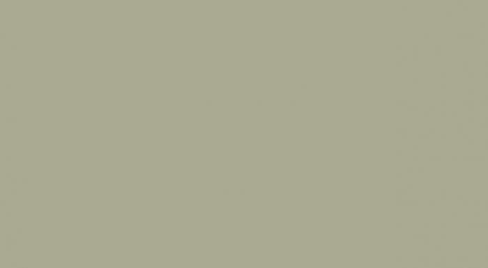TH Zola Matte Painted