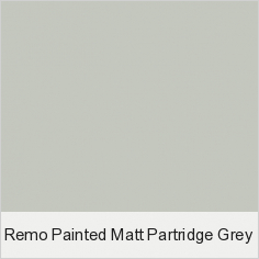 Remo Painted Matt