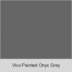 Vivo Painted