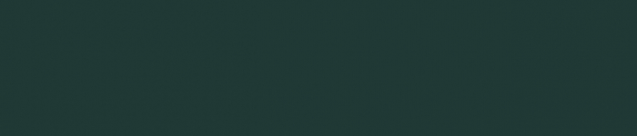 TH Zola Matte Painted