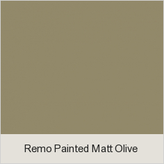 Remo Painted Matt