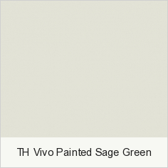 TH Vivo Painted