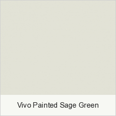 Vivo Painted