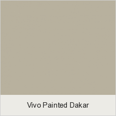 Vivo Painted