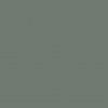 Pembrey Painted thyme