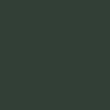 Broadoak Painted cadet