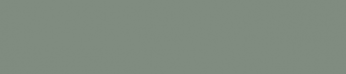 Georgia Painted