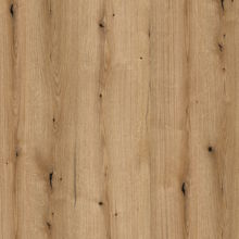 Coast Evoke Oak kitchen carcase colour sample